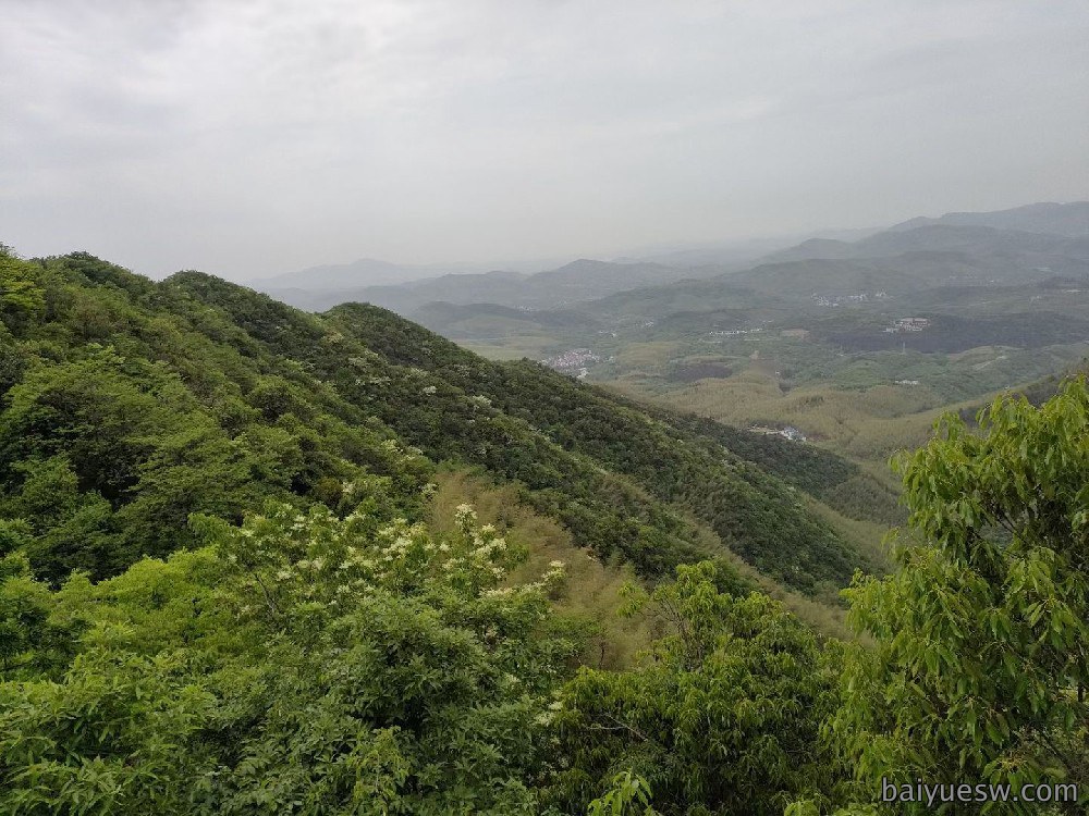 员工风采